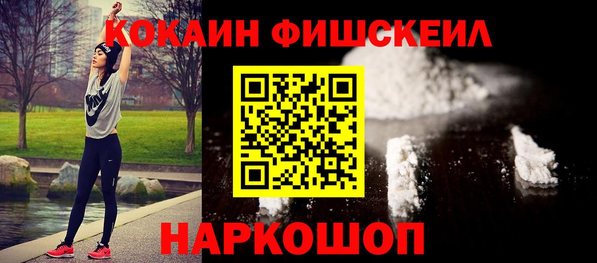 где продают наркотики  Кокаин Fish Scale  Кокаин FishScale  Вход с VPN  Бердск 