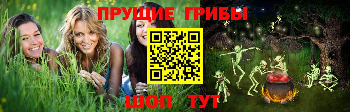 Бердск  Псилоцибиновые грибы GOLDEN TEACHER  Вход с VPN 